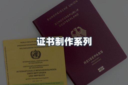 仿制证件24小时