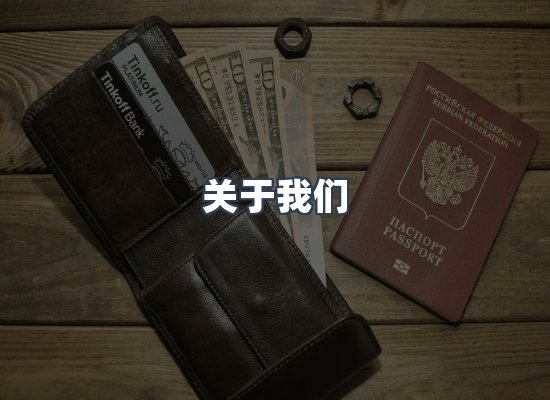 专业团队